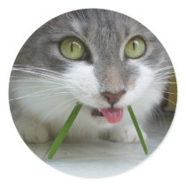 Rema Stickers 006 by phantompanther Rema Stickers 006