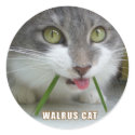 Rema Stickers 007