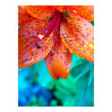 remains of summer rain posters