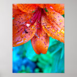 remains of summer rain print