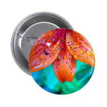 remains of summerrain buttons