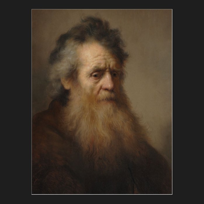 Rembrandt Portrait of an old man 1632 Postcard