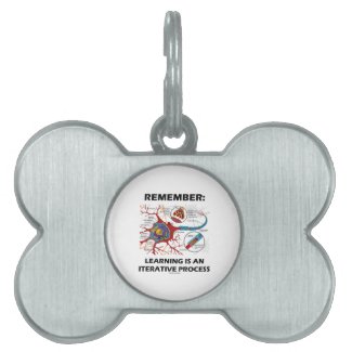 Remember: Learning Is An Iterative Process Synapse Pet ID Tag