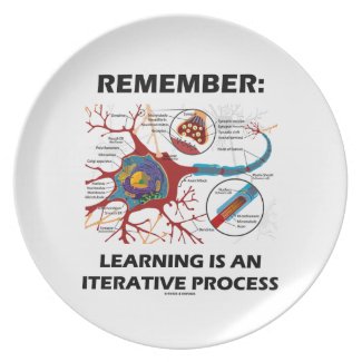 Remember: Learning Is An Iterative Process Synapse Plate