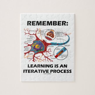 Remember: Learning Is An Iterative Process Synapse Jigsaw Puzzles