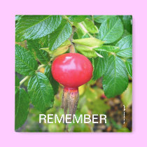 Remember Magnet