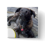 Remember Me Button