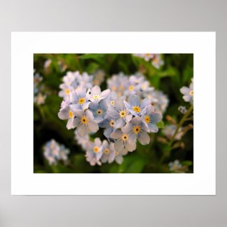 Remember me print