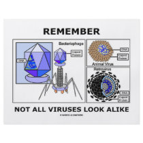 Remember Not All Viruses Look Alike (Virology) Personalized Flyer