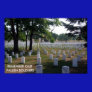 REMEMBER OUR FALLEN SOLDIERS