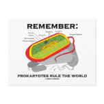 Remember: Prokaryotes Rule The World Post Card