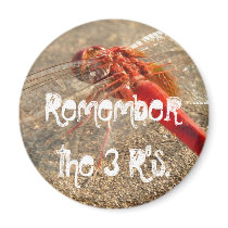 Remember the 3 R's magnets by n1bbles Remember the 3 R's magnets