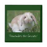 Remember the Carrots! Bunny magnets