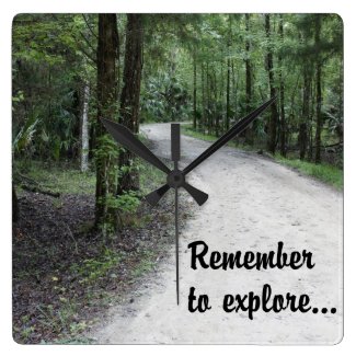 Remember to Explore