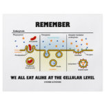 Remember We All Eat Alike At The Cellular Level Flyer