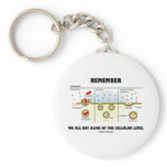 Remember We All Eat Alike At The Cellular Level Key Chains