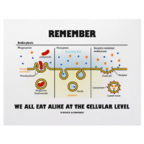 Remember We All Eat Alike At The Cellular Level letterhead by wordsunwords Remember We All Eat Alike At The Cellular Level letterhead