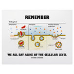 Remember We All Eat Alike At The Cellular Level Letterhead
