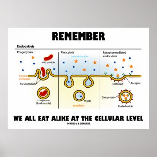 Remember We All Eat Alike At The Cellular Level Posters
