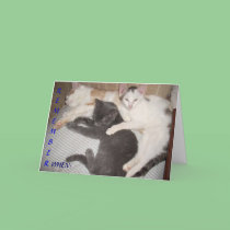 REMEMBER WHEN.... cards