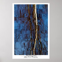 Remembering Monet Print