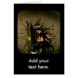 Remembrance cards