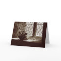 Remembrance | Inspirational cards