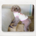 Remi on steps - Customized mousepads