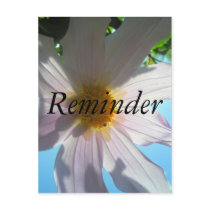 Reminder Card postcards by ReminderCards Reminder Card postcards