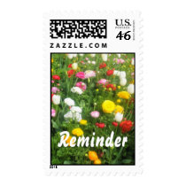 Reminder postage