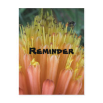 Reminder postcards by lollypopgirrrl Reminder postcards