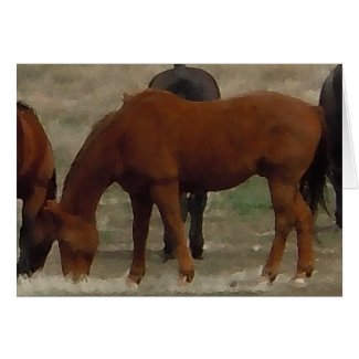 Remuda Herd Grazes - Ranch Cow Horses - Blank zazzle_card