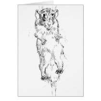 Remus cards