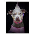 Renaissance Dog cards