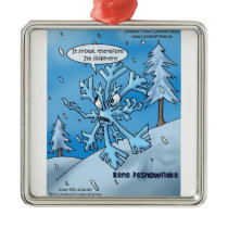 Rene Descartes Snowflake funny Christmas Ornaments ornaments