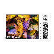 RENEWAL STAMPS