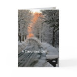 Renewed Hope Christmas Cards