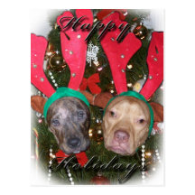 Renos de Pitbull del día de fiesta Postal