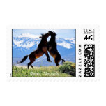 Reno's Mustangs Postage Stamps
