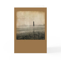 RENUNCIATION. cards by mhartford RENUNCIATION. cards
