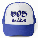 Rep Salem (503) hats