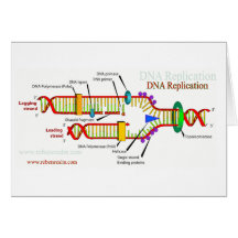 Réplica de la DNA Felicitación