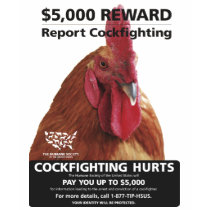Report Cockfighting Womens Tank Top