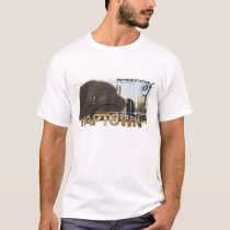 REPRESENT Naptown (Indianapolis, IN) t-shirts by holypyro52 REPRESENT Naptown (Indianapolis, IN) t-shirts