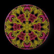 Repsycle #05 Button buttons