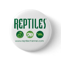 Reptile Anniversary #4 Pinback Buttons