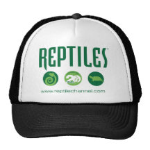 Reptile Anniversary #4 Hat