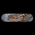Reptile Board skateboards