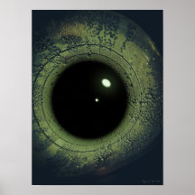 Reptile Eye (Artwork) Poster