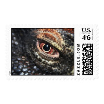 reptile eye stamp by lindasart reptile eye stamp